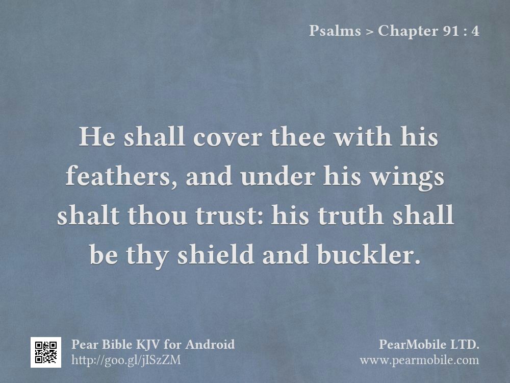 Psalms, Chapter 91:4